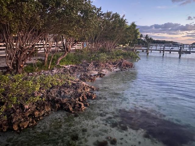 Bahia Bay Resort Key Largo Exteriér fotografie